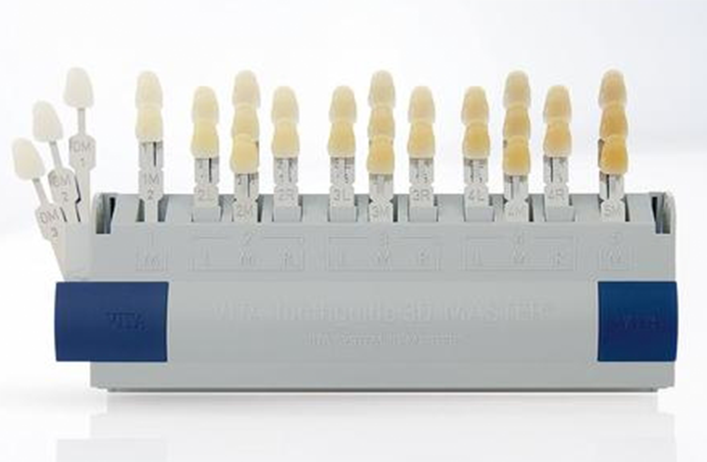 VITA 3D-MASTER 比色板附带漂白白色