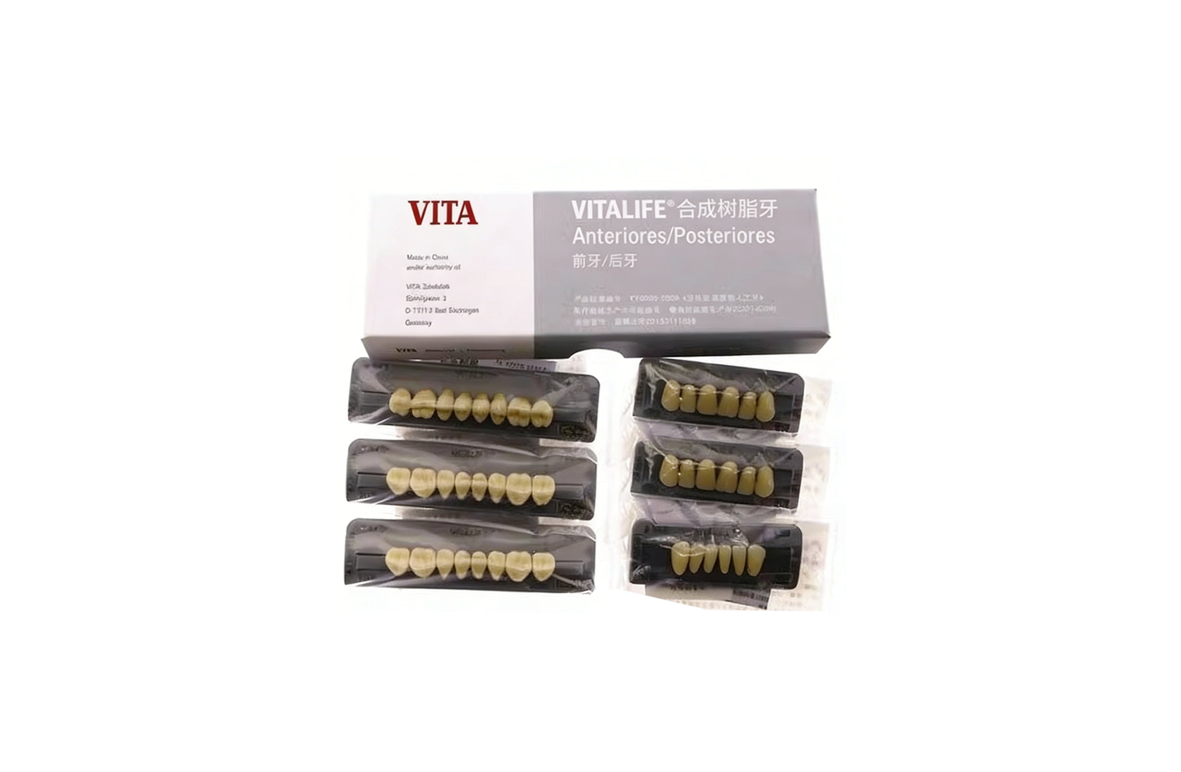 VITA合成树脂牙