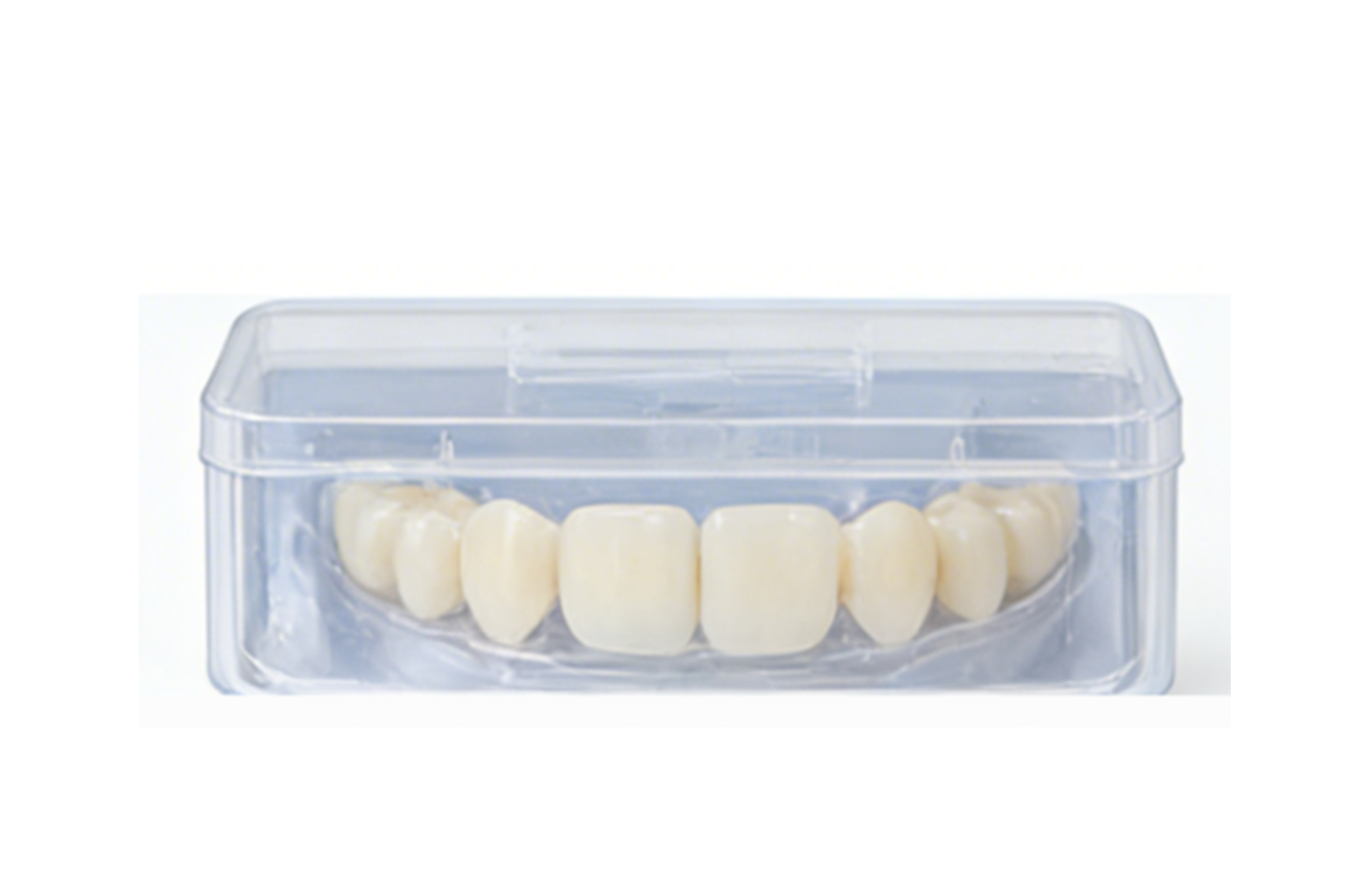 合成树脂牙-整口